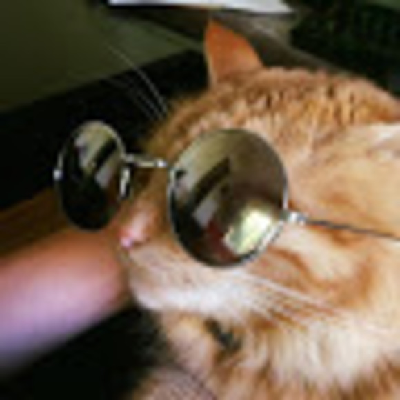 Meet your Posher, Elijah - Picture 1 of 1